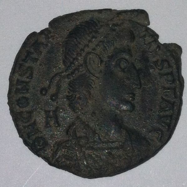 Newbies-First-Attempt-On-Identification.